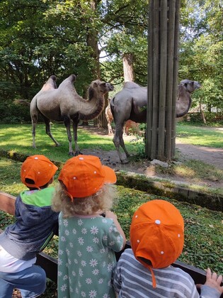 Großer Ausflug in den Tiergarten Straubing